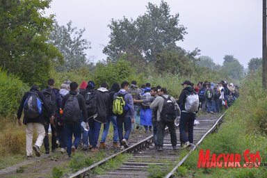 Naponta mintegy 1000 migráns tartózkodik Szabadkán (Fotó: Molnár Edvárd)