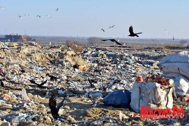 A lomtalanító akciók során tavaly több mint ezer tonna hulladék került elszállításra (Fotó: Gergely Árpád)