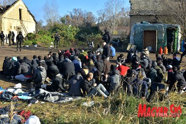 Migránsok az egykori Bácska birtokon, a szerb-magyar határ közelében (Gergely József felvétele)