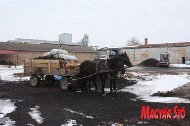 Odnošenje orevnog materijala u Staroj Moravici