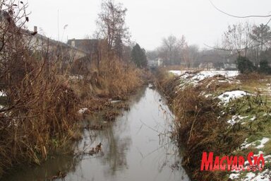 Krivaja kod Bačke Topole