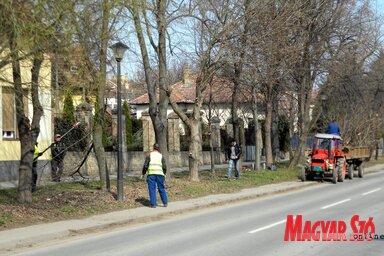 Fotó: Benedek Miklós