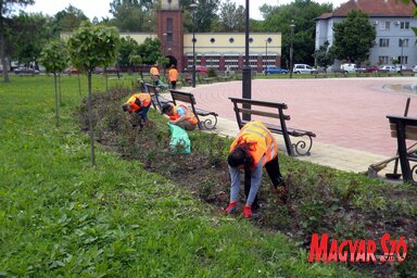 Munkában a közmunkások a Rendezvények terén (Benedek Miklós felvétele)