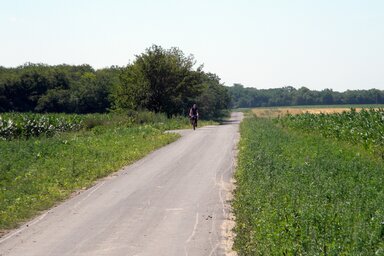 A mezőgazdasági termelők is örülnek az útnak, és a művésztelep is könnyen megközelíthetővé vált (Fotó: Benedek Miklós)