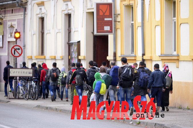 Magyarkanizsán az utóbbi napokban megháromszorozódott a bevándorlók száma (Fotó: Molnár Edvárd)
