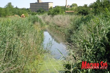 A Budzsák Ada központján folyik keresztül