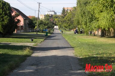 Még csak egy szakasz van hátra a Liszt Ferenc utca aszfaltjának teljes felújításához (fotó: Benedek Miklós)