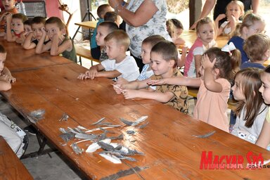 Az óvodások örömmel vették a kezükbe, tépkedték a tollat, ezek a mozdulatok a kézügyességük, illetve a ceruzahasználatuk fejlesztése szempontjából is fejlesztő hatásúak (Gulyás Réka felvétel