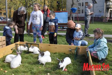 Nagypénteki tojásfestés Újvidéken az ortodox nagypéntek alkalmából (Ótos András felvétele)