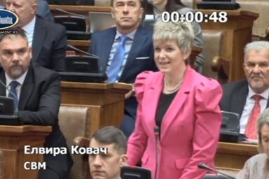 Screenshot(Parlament Srbija Youtube)