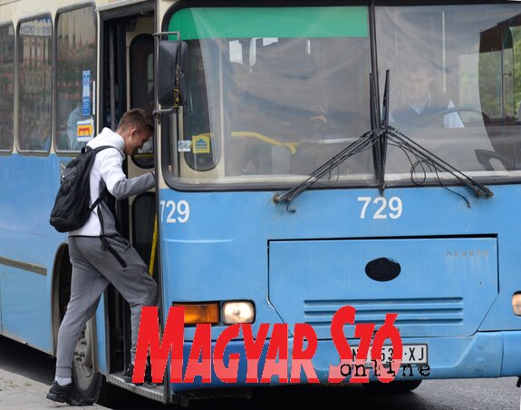 A buszvezetői engedélyek megszerzését azért könnyítik, mert országszerte hiány van sofőrökből (Fotó: Dávid Csilla)