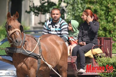 Újvidék szegénynegyedeiben fogászati akciót szervez az Újvidék Egészségház. Az ezekben
élő roma lakosság nagy része nem jár fogorvoshoz, egészségügyi dolgozóink ezen a rossz szokáson szeretnének változtatni a most megkezdett kampánnyal (Fotó: Ótos András