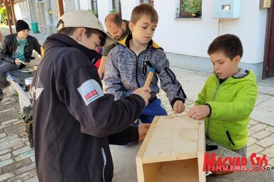 Készülnek a szalakótafészkek (Lakatos János felvétele)