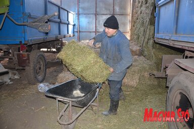 A téli időszakban hereszénából fogy a legtöbb