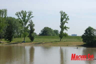 Néhány éve sűrű erdő borította a strand mögötti területet (Fotó: Horváth Attila)