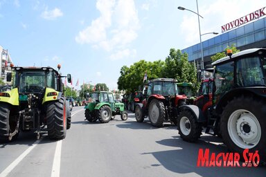 Mielőtt megállapodásra jutottak volna, szombaton kora délelőtt a tiltakozók lezárták a Hajduk Veljko utcát, közvetlenül az Újvidéki Vásár főbejárata előtt (Fotó: Dávid Csilla)