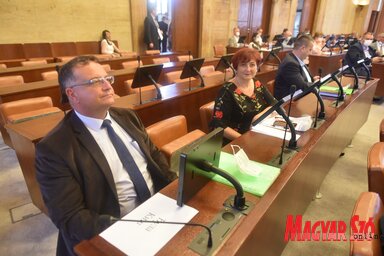 A városi képviselő-testület már huzamosabb ideje a tartományi parlament nagytermében hozza meg döntéseit, hétfőn a városi költségvetés átütemezéséről döntenek (Fotó: Ótos András felvétele)