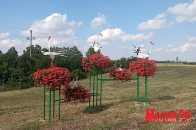 A Tisza-parti sétányra lila és fehér színkombinációk kerültek (Kancsár Izabella felvétele)