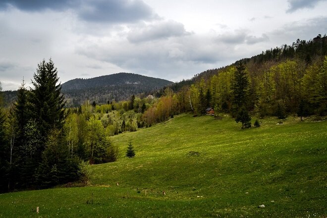 Fotó: Dan u Beogradu