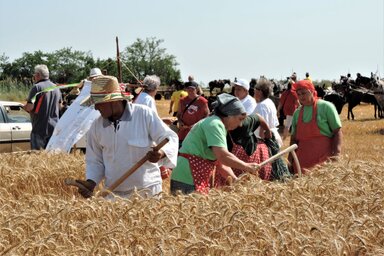 Fotó: Horváth Zsolt