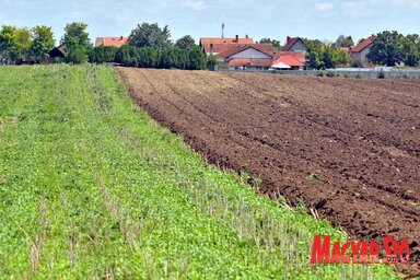 Az állami földek bérlői az idén időben megkezdhetik a talaj előkészítését (Gergely Árpád illusztrációja)