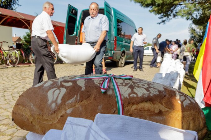 A kárpátaljai magyar gazdák rekordmennyiségű gabonát adományoztak (Fotó: MTI)
