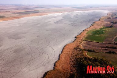 Októberi száraz tómeder(Farkas Géza felvétele)