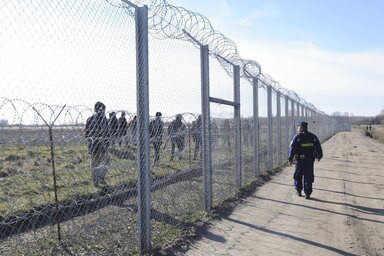 Magyar rendőrtiszt figyeli a migránsokat a szerb-magyar határon (Fotó: MTI)