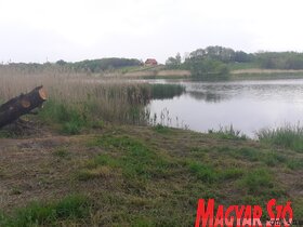 A Bácskossuthfalva és Krivaja közötti tó (Kazinczy Paszterkó Diana felvétele)